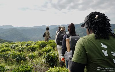 What to Expect (and Ask For) When Considering a Donor Site Visit